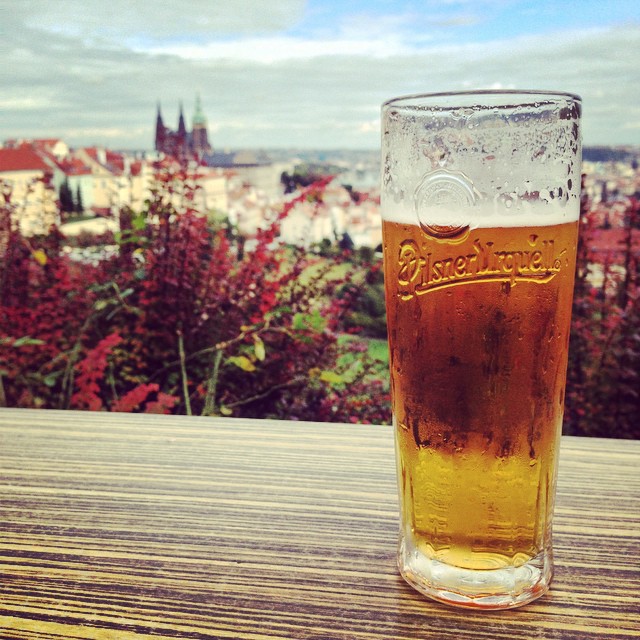 Local pilsner with a view
