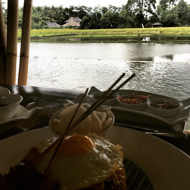 Lunch stop with a view of the rice fields