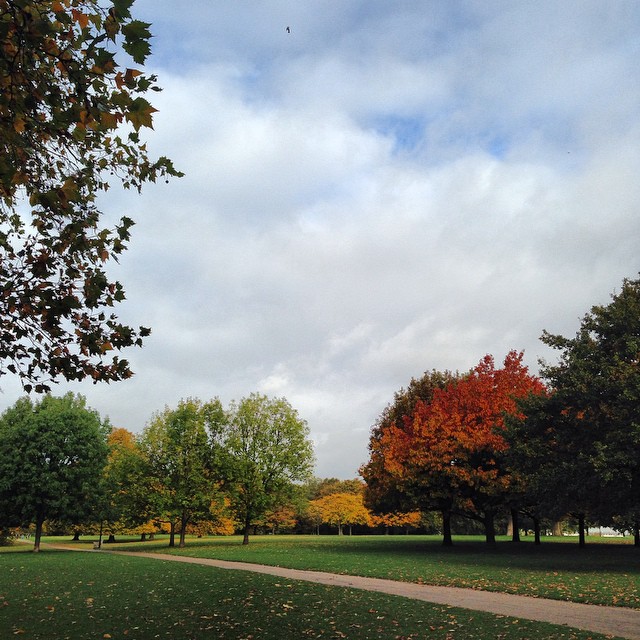 Hyde park in Autumn